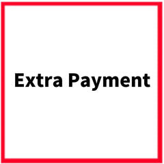 Extra Payment