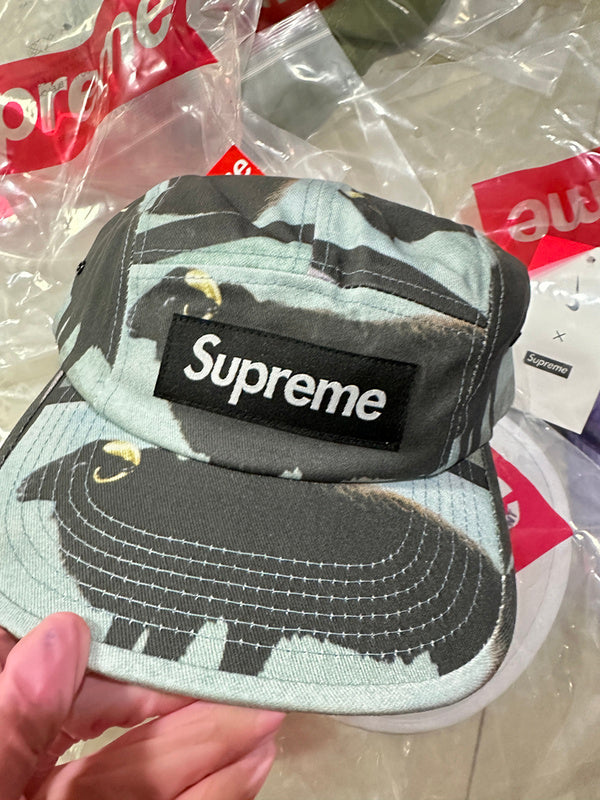 Supreme 25SS Damien Hirst Camp Cap
