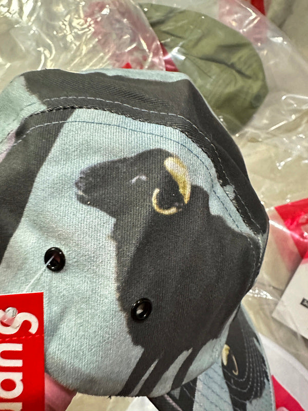 Supreme 25SS Damien Hirst Camp Cap