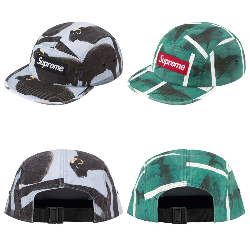 Supreme 25SS Damien Hirst Camp Cap