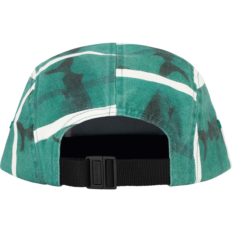 Supreme 25SS Damien Hirst Camp Cap