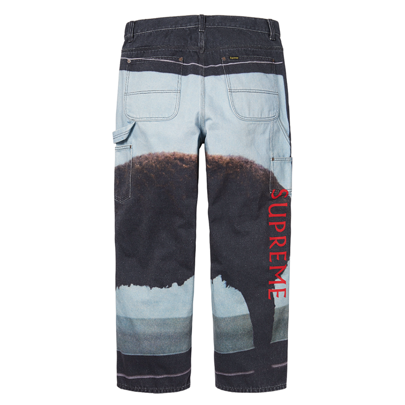 Supreme 25SS Damien Hirst Jeans